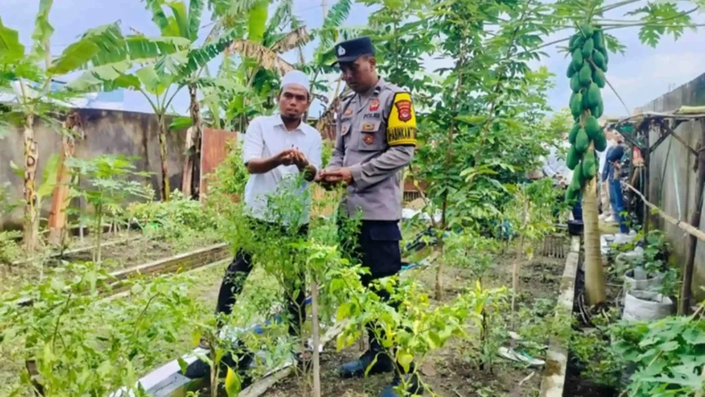 Bhabinkamtibmas Bajur Sulap Pekarangan Jadi Sumber Pangan