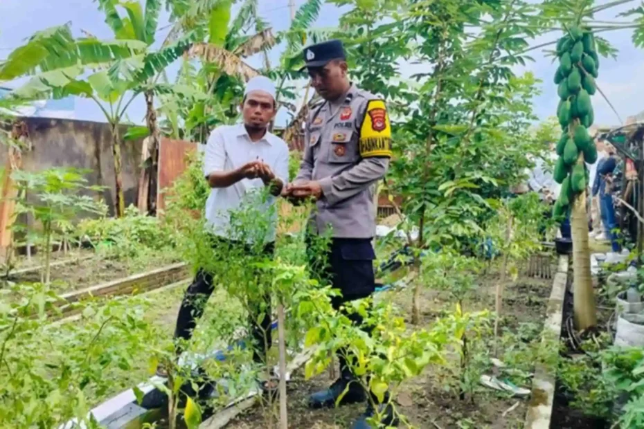 Bhabinkamtibmas Bajur Sulap Pekarangan Jadi Sumber Pangan