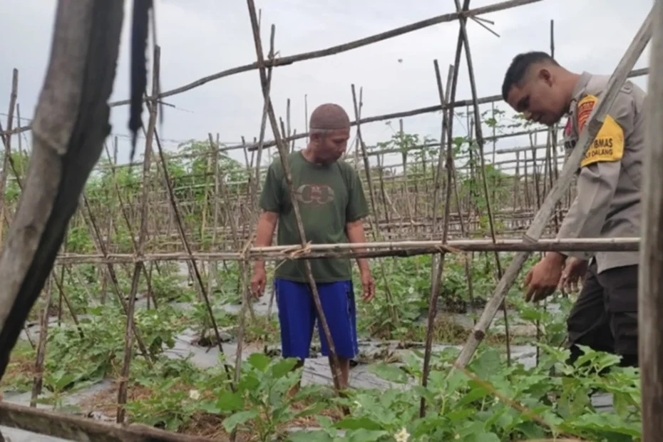 Strategi Polsek Labuapi Perkuat Stok Pangan di Lombok Barat